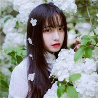 为你打开一扇窗