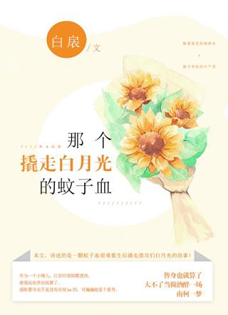 那个撬走白月光的蚊子血剧透排雷 那个撬走白月光的蚊子血剧透排雷