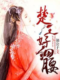 心有瑶光楚君意